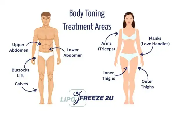 Graphic showing where you can have Body toning Treatment Northwood on your body